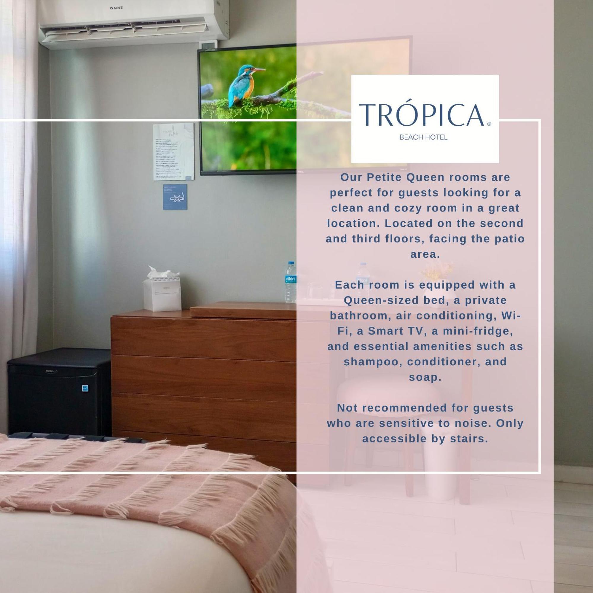 Tropica Beach Hotel (Adults Only) San Juan Room photo